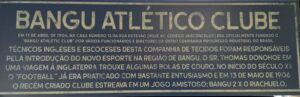 Placa Rio 14 x 44 - Coco bamboo